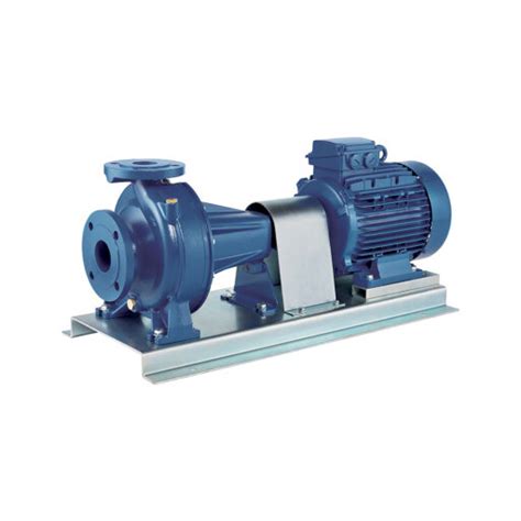 0.75hp end-suction centrifugal pump|Ebara CDU70/17 Stainless Steel Centrifugal Pump, 0.75 HP.